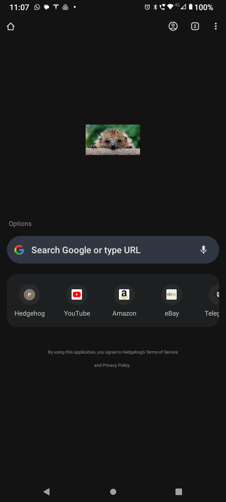 Hedgehog Browser New Tab Page